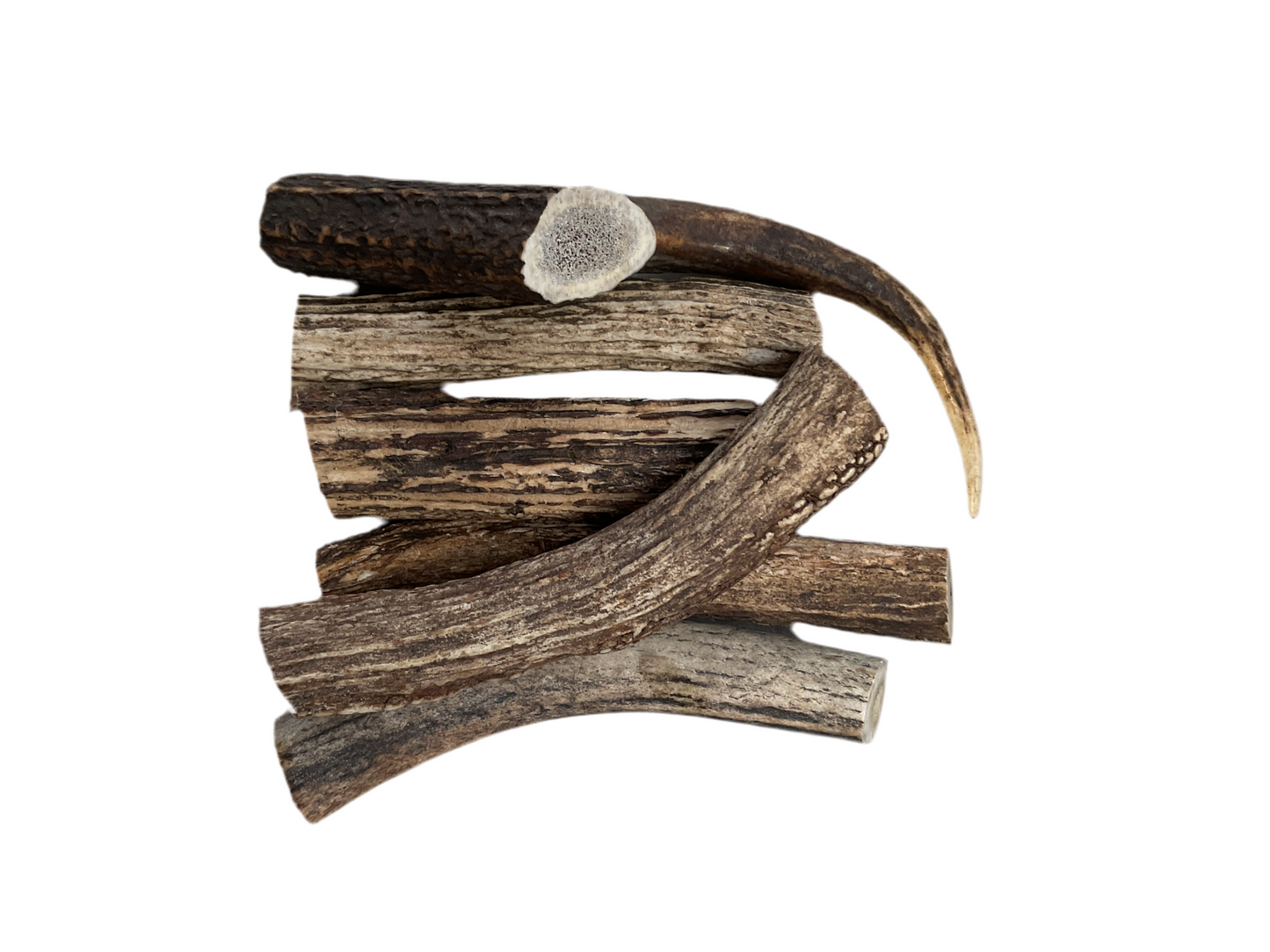 Medium Size Deer Antlers
