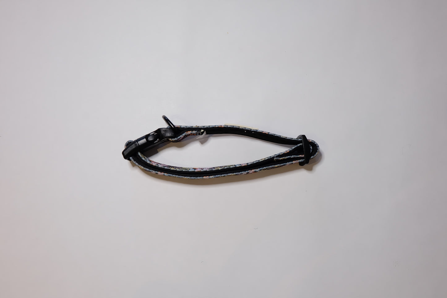 Native Nighttime Collar