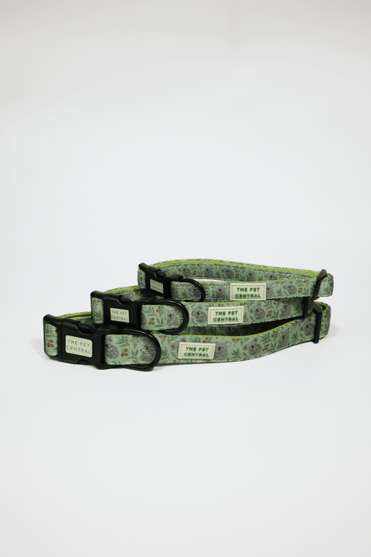 Koala Trails Collar