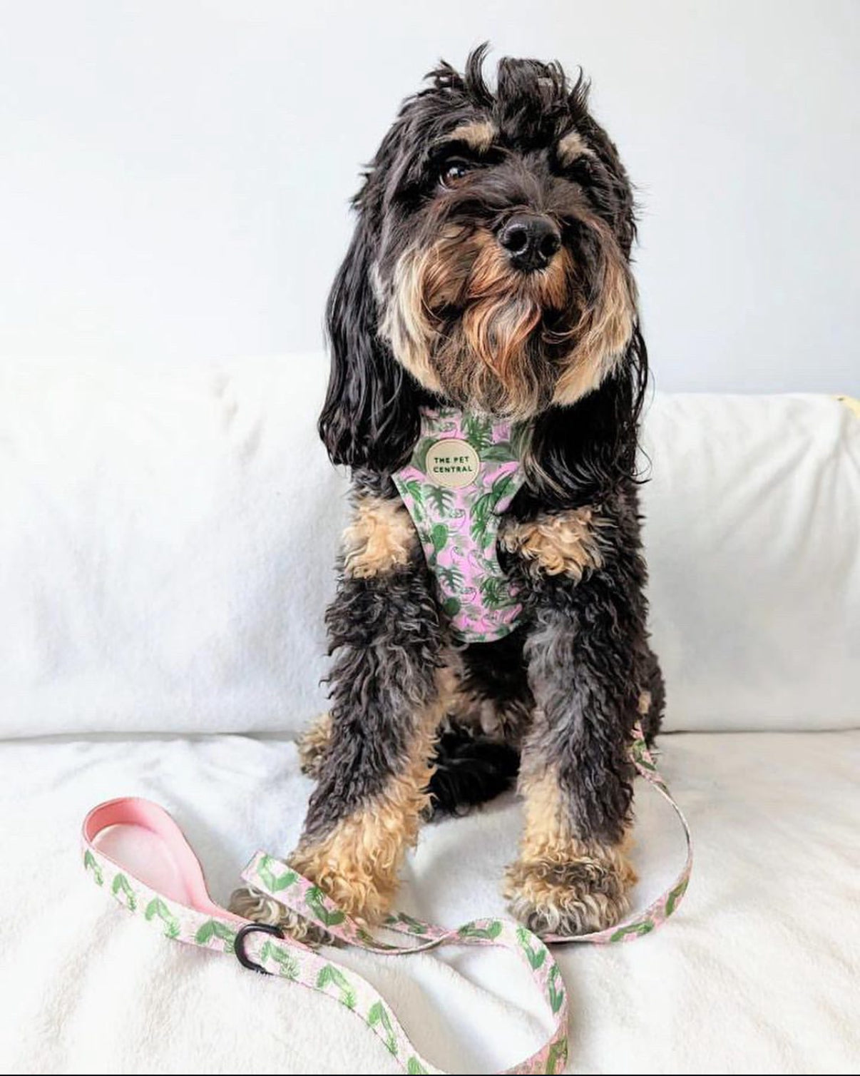 Tropical Bloom Harness
