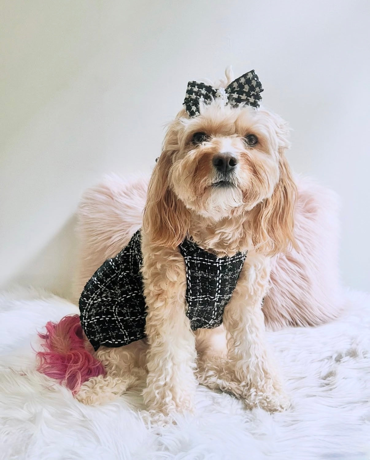 Black Tweed Dress