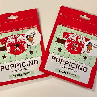 Puppicino Peanut Butter