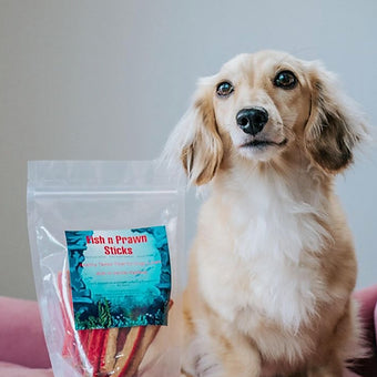 Miniature dachshund standing next to a pack of fish and prawn sticks – healthy, high-protein pet treat
