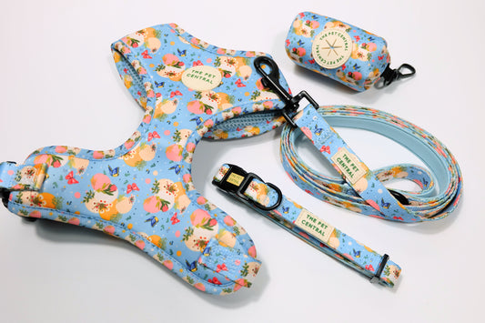 Butterfly Fields Harness Set
