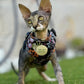 Native Nighttime Harness