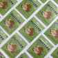 Multiple Blueberry Muttcha doggie blueberry matcha latte sachets arranged in a flat lay pattern