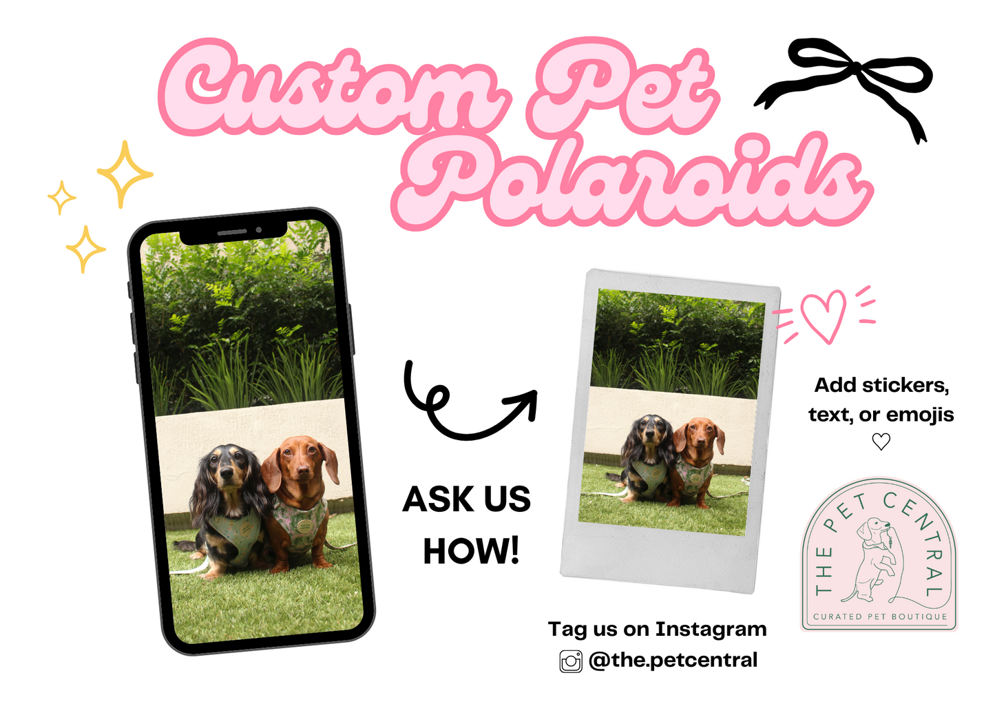 Custom pet Polaroid print featuring a dog, displayed on a plain background."