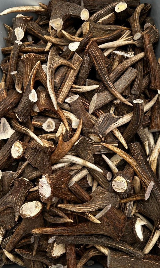 Bulk Deer Antlers