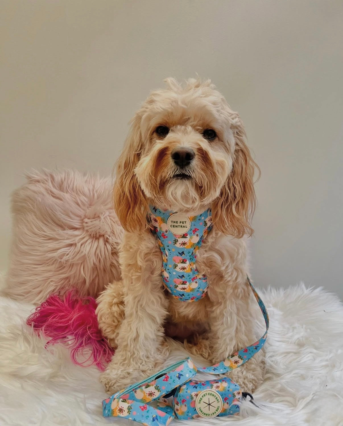 Butterfly Fields Harness