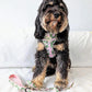 Tropical Bloom Harness