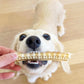 Shark Cartilage (200g)