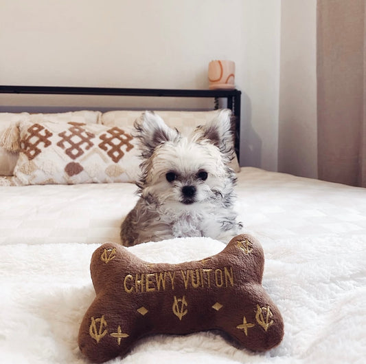 Chewy Vuitton Bone