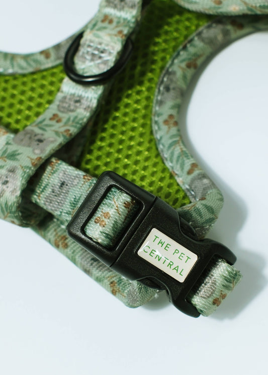 Green Koala Harness detail, Green Koala Harness, a calming and nature-inspired piece featuring adorable koalas and native Australian foliage on a soft green background, Part of The Pet Central’s walkwear range, with exclusive print rights. Designed in Australia.