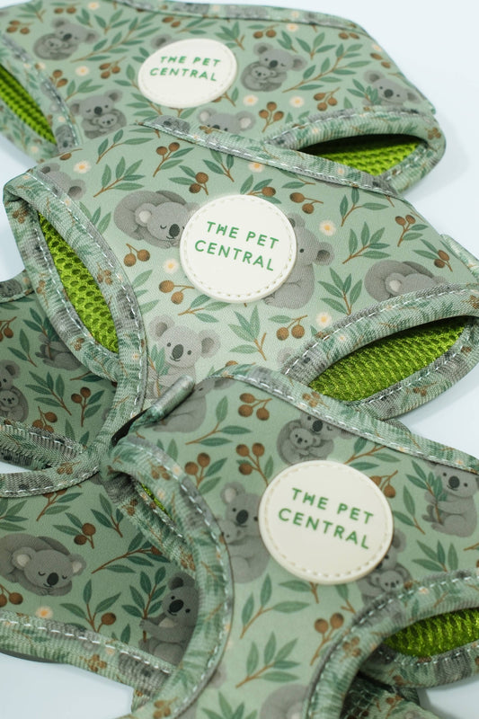 Koala Trails Harness Set