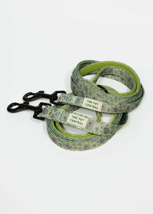 Green Koala Dog Collar, a calming accessory featuring a nature-inspired print of koalas and native Australian foliage on a soft green background.

part of The Pet Central’s walkwear range, with exclusive print rights. Designed in Australia.