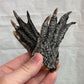 Close-up of a hand holding a dehydrated crocodile foot dog treat – natural, textured chew for dogs