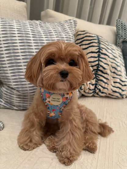 Butterfly Fields Harness