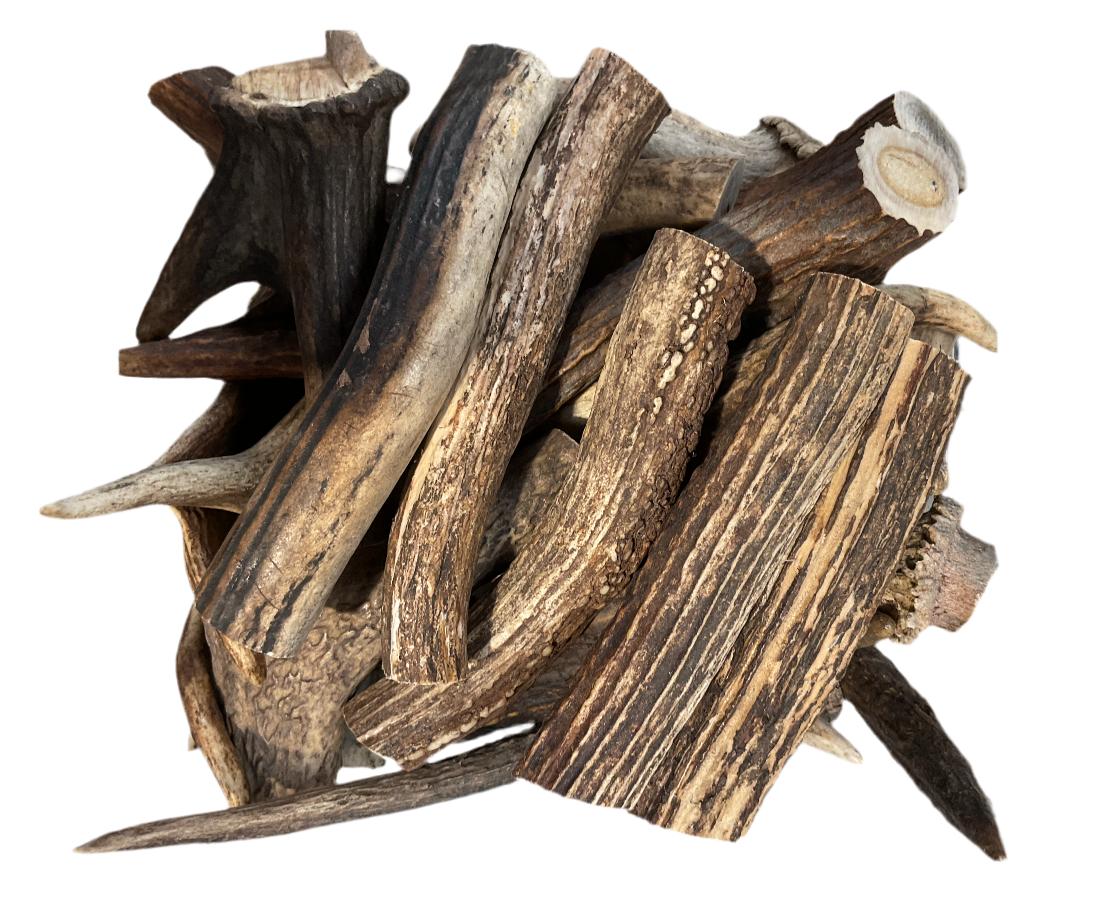 Deer Antler 4-Pack Value Box – The Pet Central
