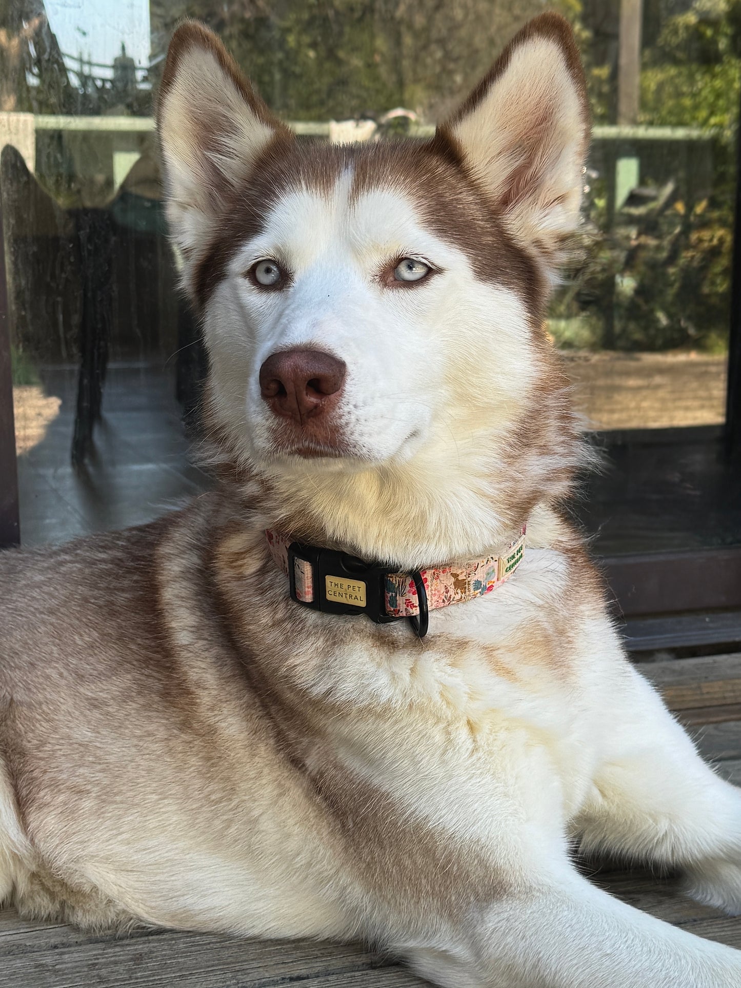 Pink Kangaroo Collar