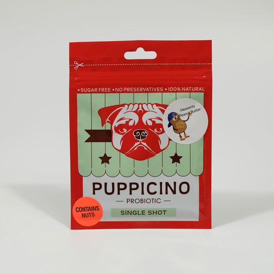 Puppicino Peanut Butter