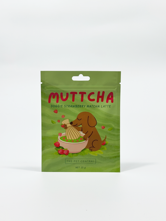 Green package of Muttcha Doggie Strawberry Matcha Latte on a white background