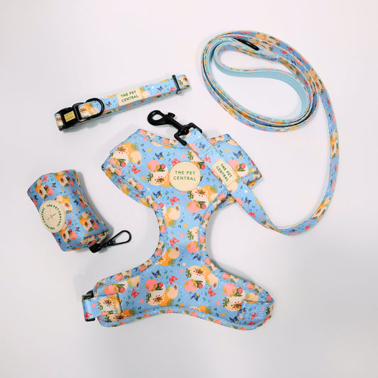 Butterfly Fields Harness Set