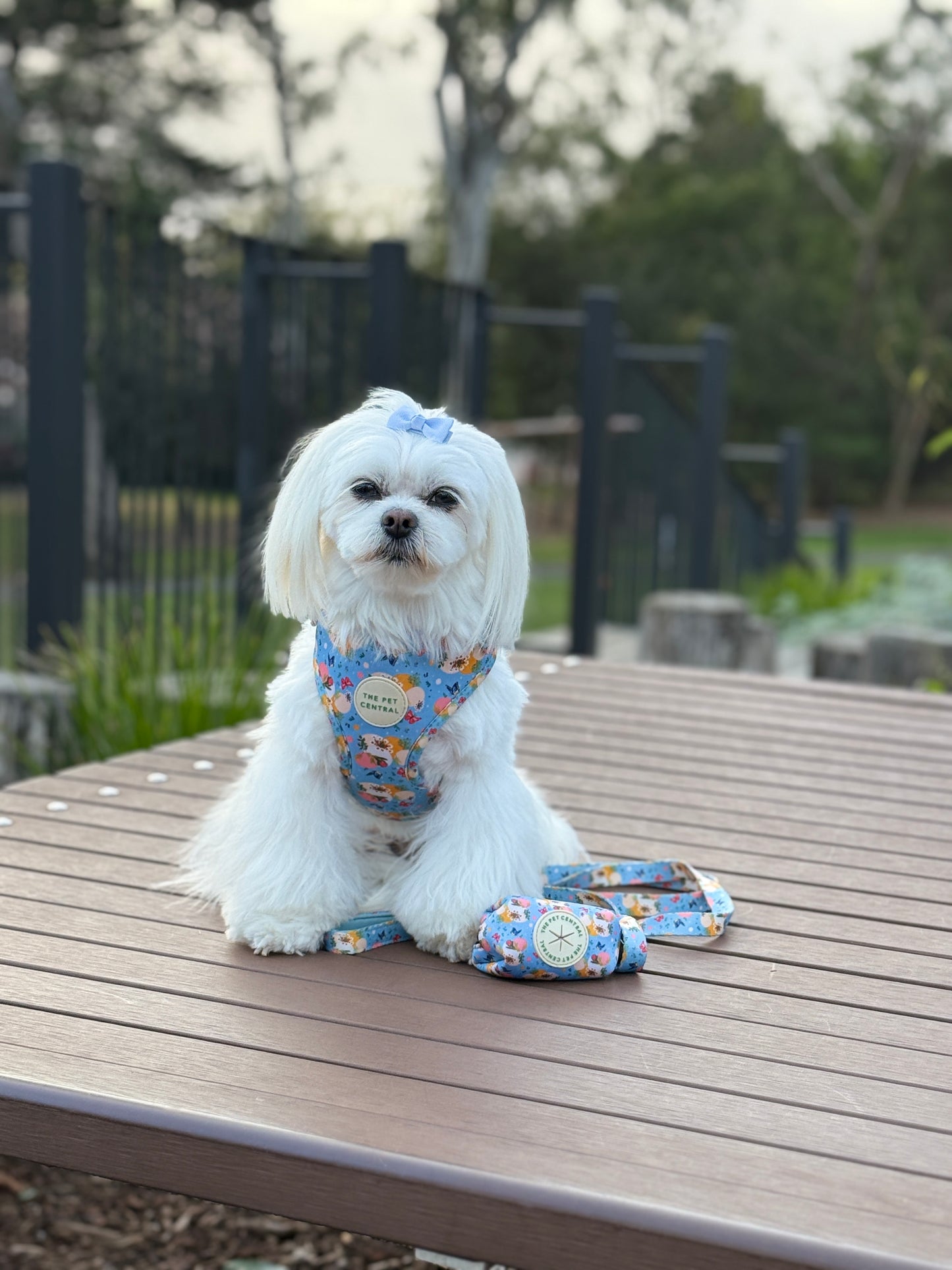 Butterfly Fields Harness