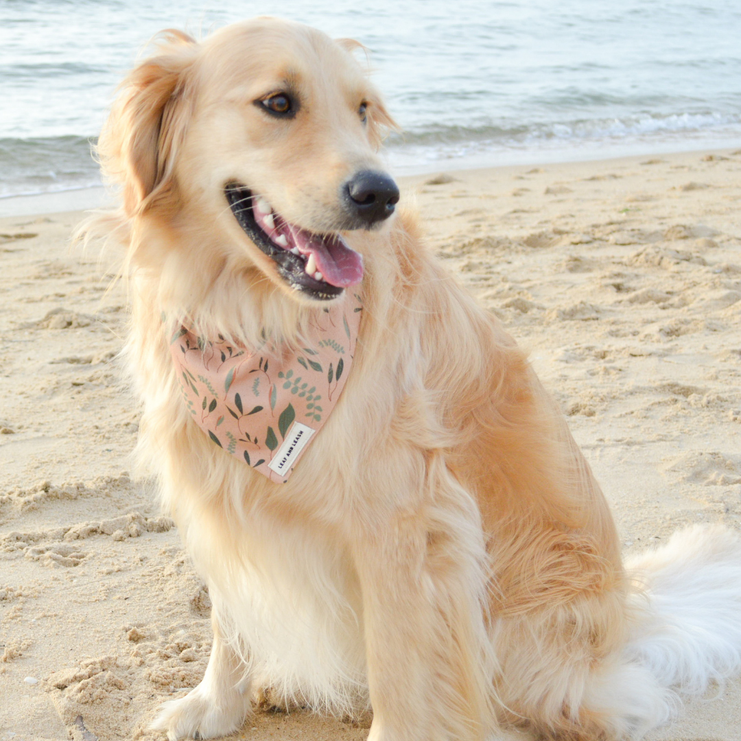 Nature Walkies Dog Bandana