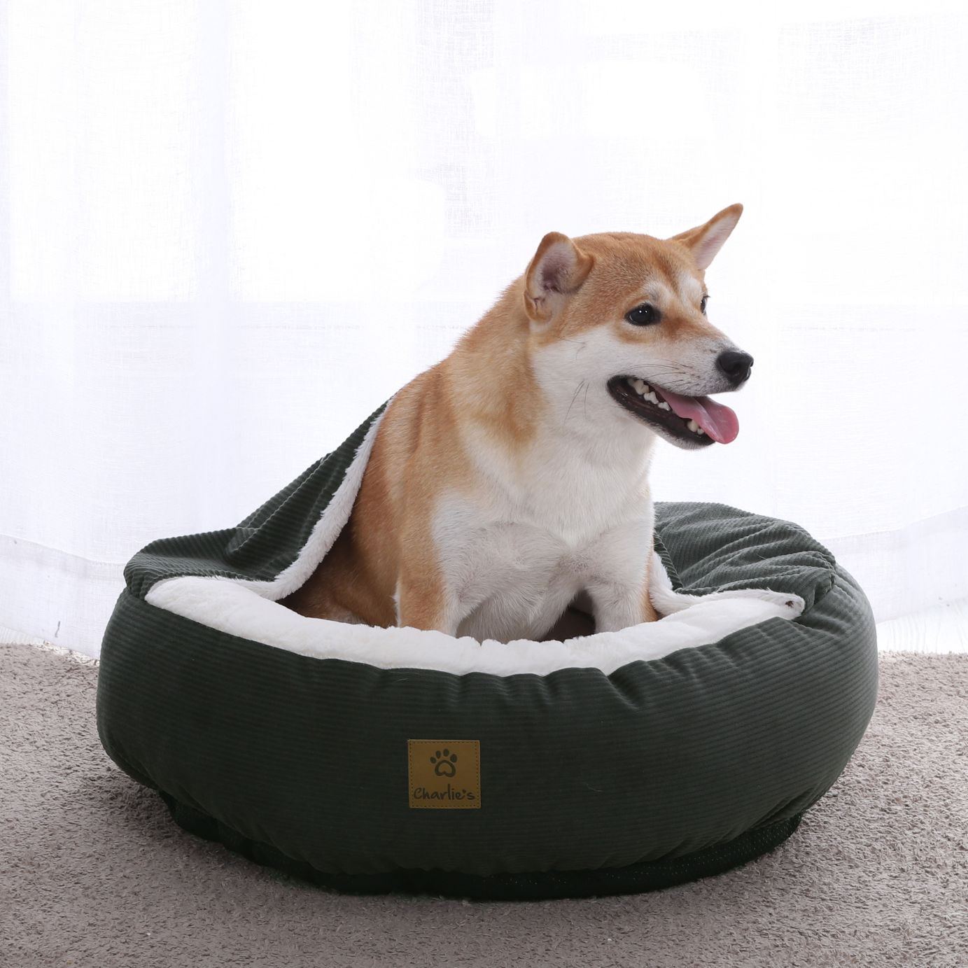 Snookie Hooded Pet Bed in Corduroy - Dark Olive Green Charlie's Pet Products