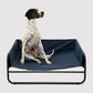 High Walled Outdoor Trampoline Pet Bed Cot - Blue Charlie's Pet Products