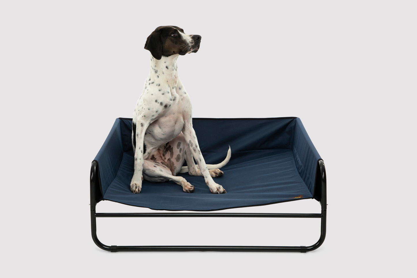 High Walled Outdoor Trampoline Pet Bed Cot - Blue Charlie's Pet Products