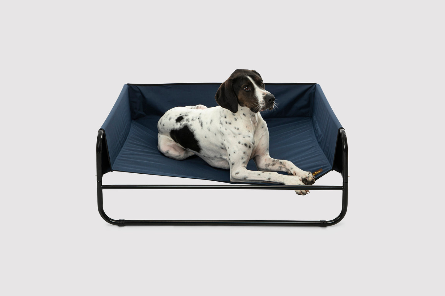 High Walled Outdoor Trampoline Pet Bed Cot - Blue Charlie's Pet Products