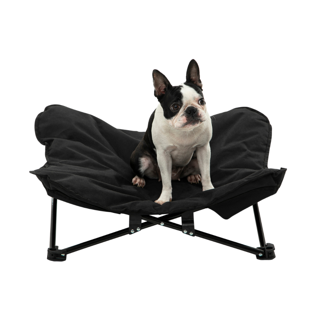 Butterfly Portable Folding Outdoor Pet Chair - Black Charlie's Pet Products