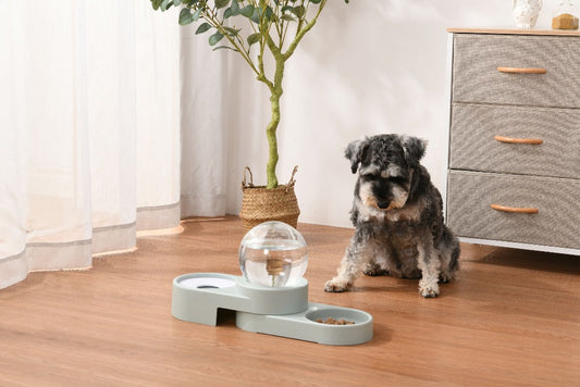 Bubble Automatic Water Dispenser with Food Bowl - Mint Blue Charlie's Pet Products
