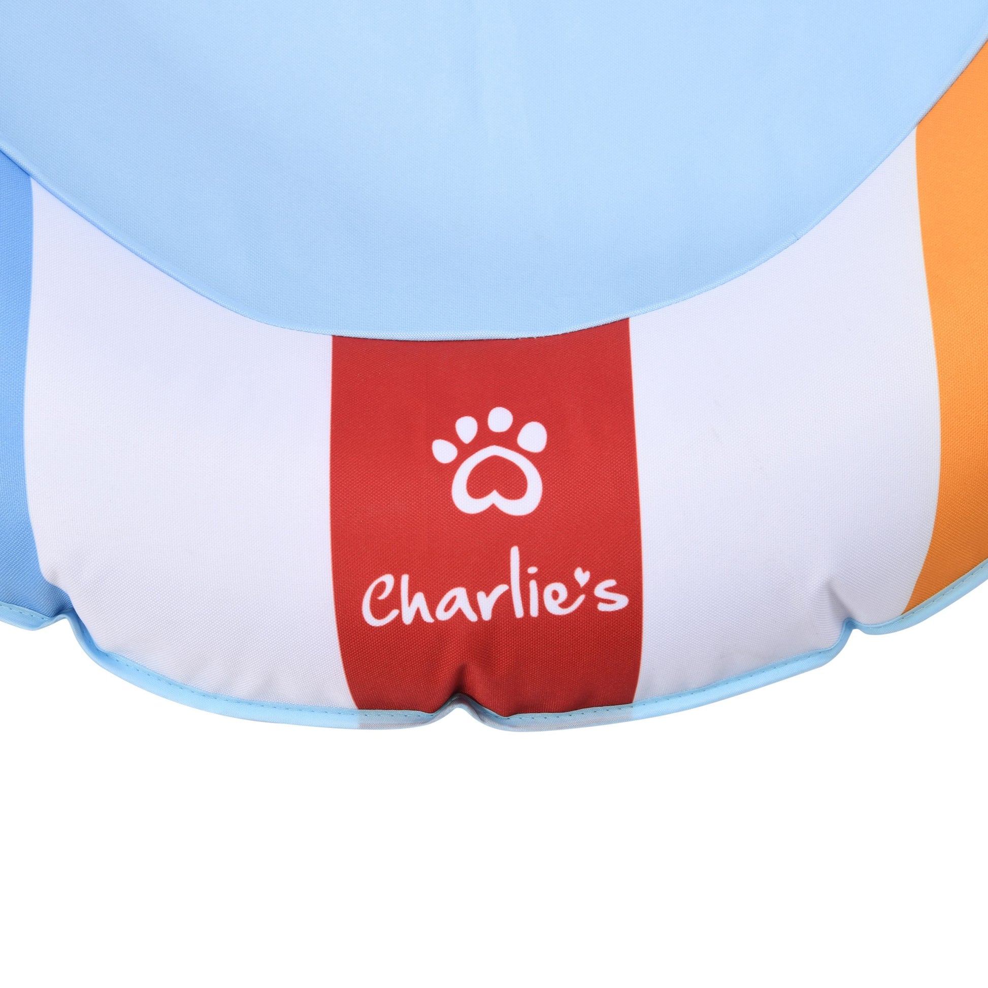 Pet Floaties - Beach ball Charlie's Pet Products