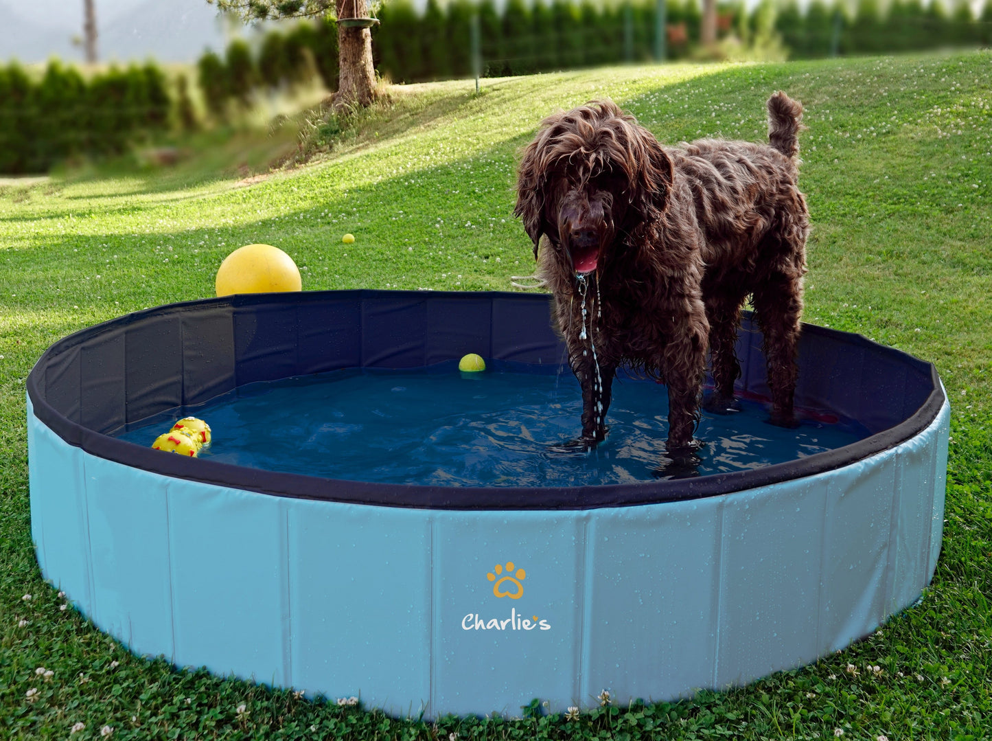 Portable Pet Pool Party Charlie's Pet Products