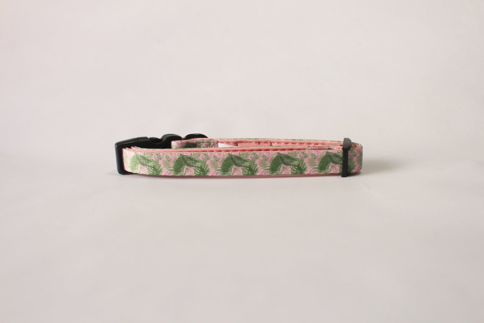 The Pet Central Tropical Bloom dog collar