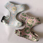 The Pet Central Blue Cheetah Dog Harness and Tropical Bloom Dog Harness (Front)