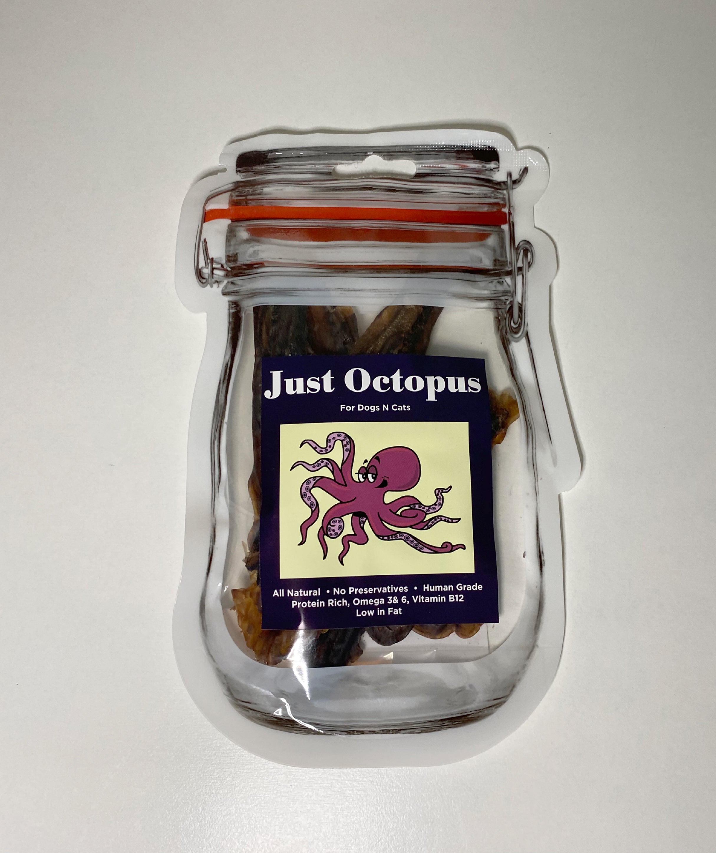 Octopus The Pet Central