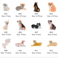 Shiba Inu Hair Clip