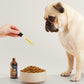 The Oil - Hemp Seed Oil