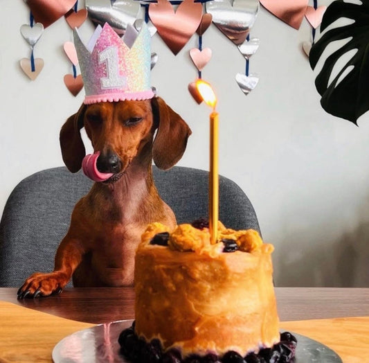 Rainbow Dog Birthday Crown