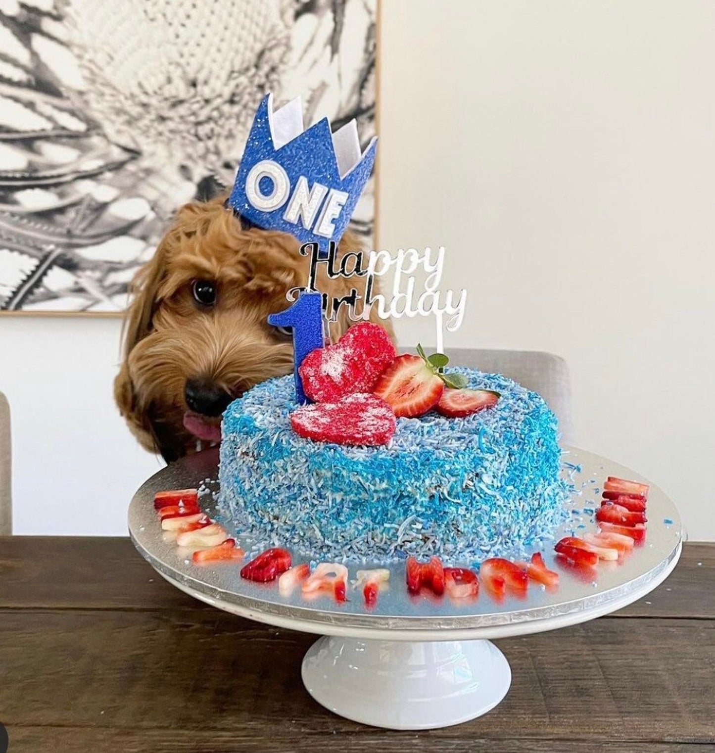 White and Blue Dog Birthday Crown