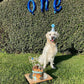 Blue and Silver Glitter Dog Party Hat