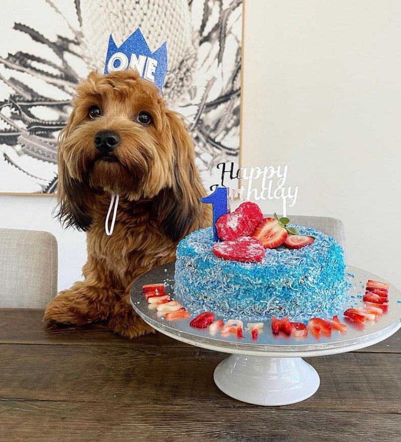 White and Blue Dog Birthday Crown