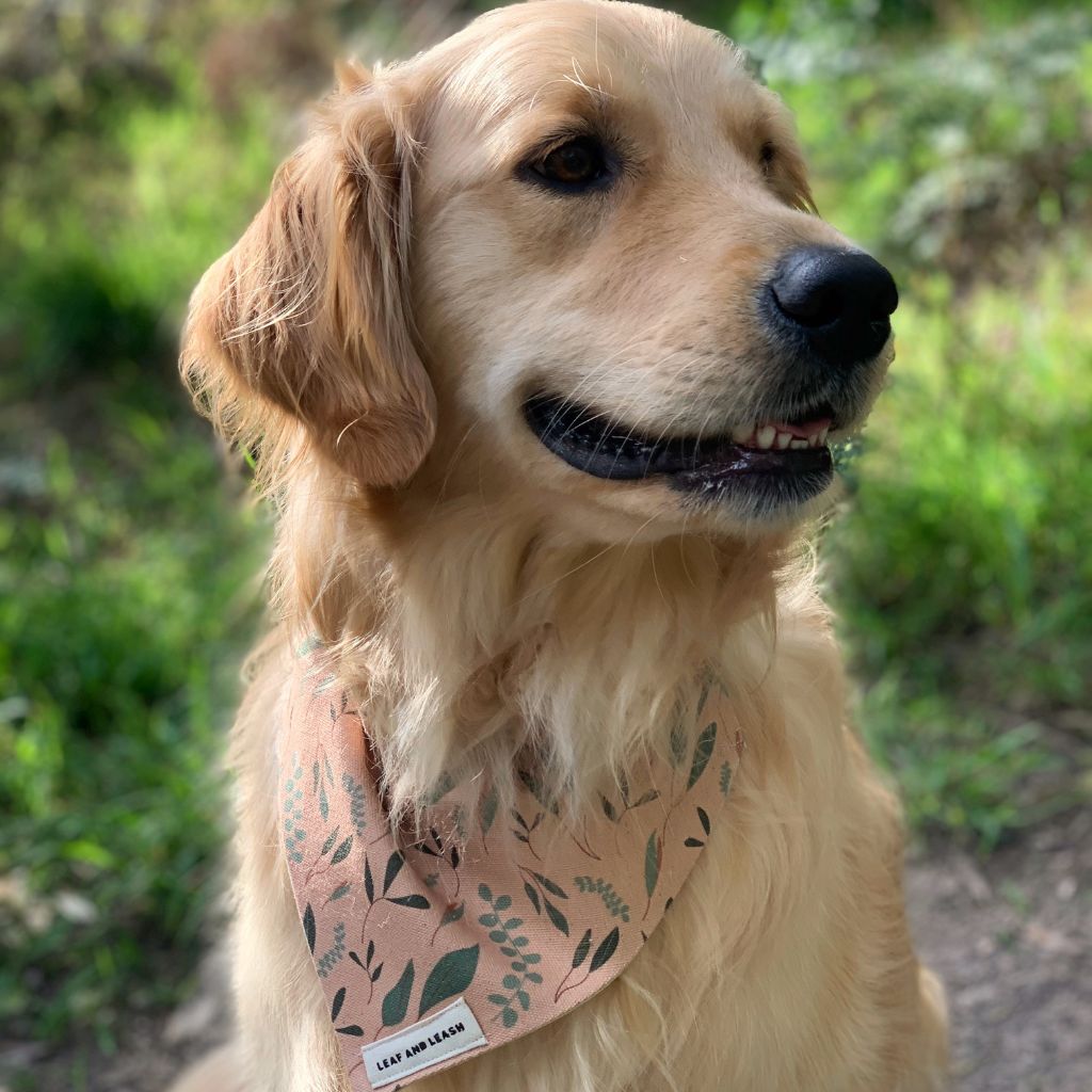 Nature Walkies Dog Bandana